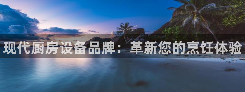 尊龙d88官网去来就送38：现代厨房设备品牌：革新您的烹饪体