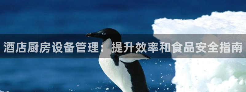 尊龙人生就是博l：酒店厨房设备管理：提升效率和食品安全指南