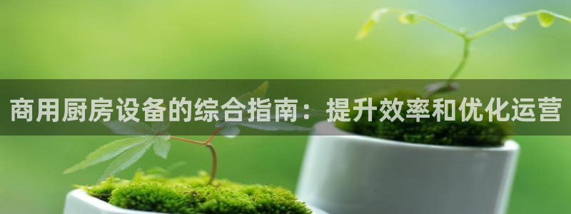 凯时k66登录：商用厨房设备的综合指南：提升效率和优化运营