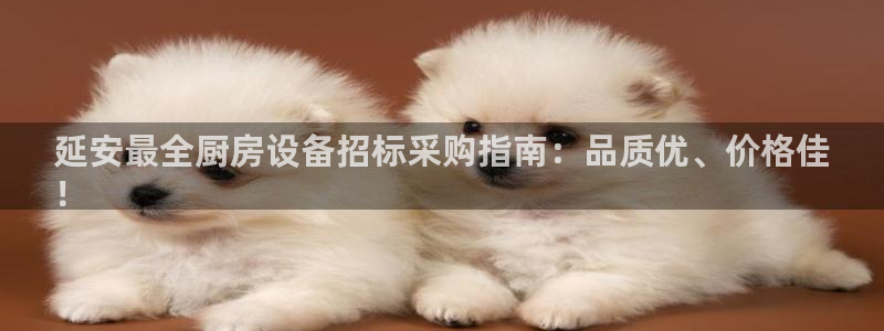 尊龙/人生就是博：延安最全厨房设备招标采购指南：品质优、价格