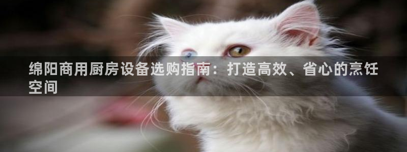 尊龙官网：绵阳商用厨房设备选购指南：打造高效、省心的烹饪
空
