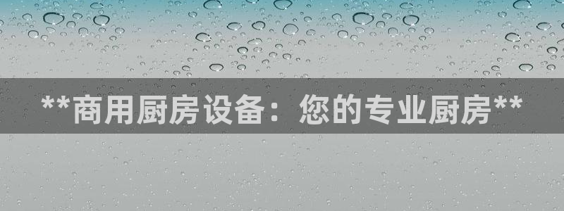 凯时在线平台官网：**商用厨房设备：您的专业厨房**