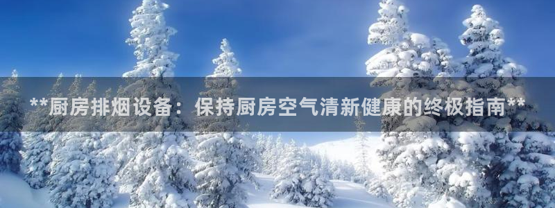 尊龙集团官网：**厨房排烟设备：保持厨房空气清新健康的终极指