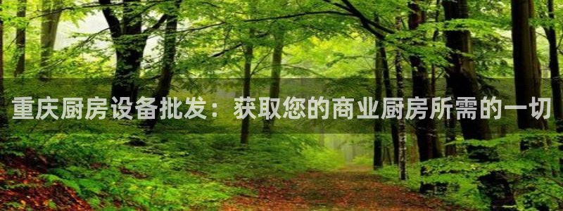 尊龙165：重庆厨房设备批发：获取您的商业厨房所需的一切