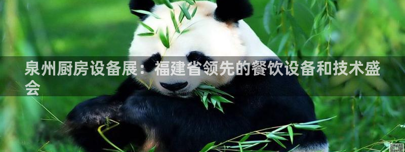 尊龙凯时防屏蔽网址：泉州厨房设备展：福建省领先的餐饮设备和技