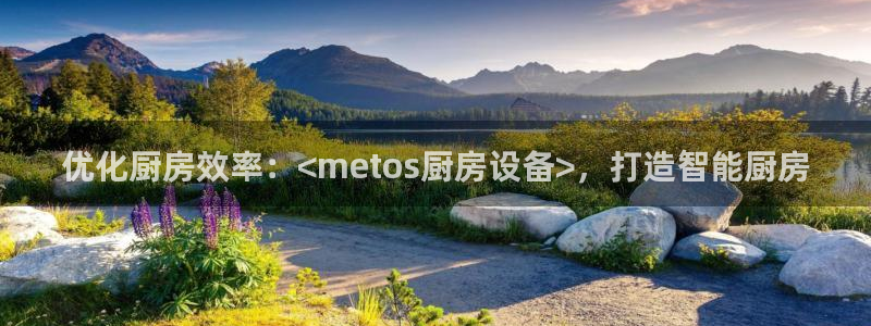 尊龙凯时网站是什么地方人开的：优化厨房效率：<metos厨房