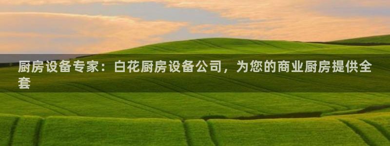 agz6尊龙凯时集团：厨房设备专家：白花厨房设备公司，为您的