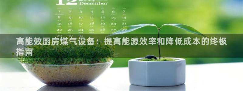 尊龙z6：高能效厨房煤气设备：提高能源效率和降低成本的终极
