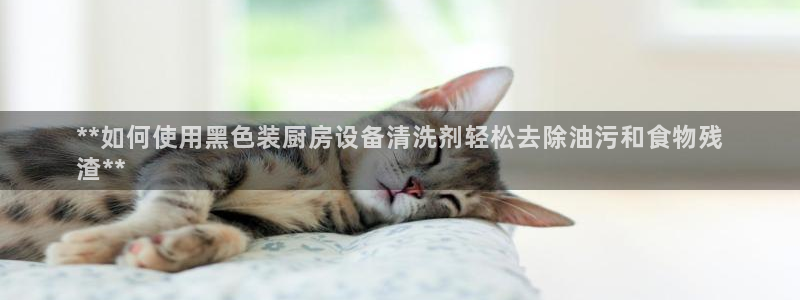 尊龙目前照片：**如何使用黑色装厨房设备清洗剂轻松去除油污和