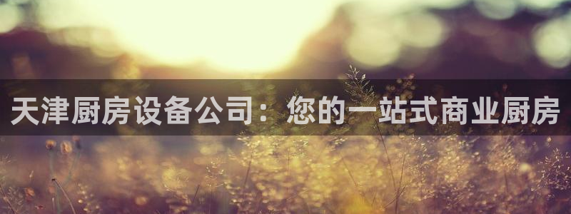 尊龙最新版：天津厨房设备公司：您的一站式商业厨房