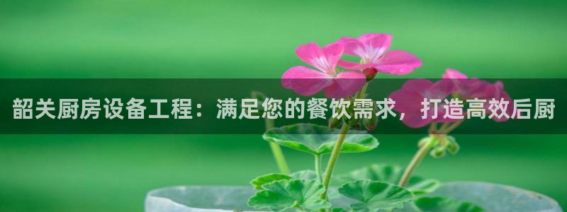 凯时国际app登录：韶关厨房设备工程：满足您的餐饮需求，打造
