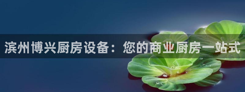 尊龙am i blue：滨州博兴厨房设备：您的商业厨房一站式