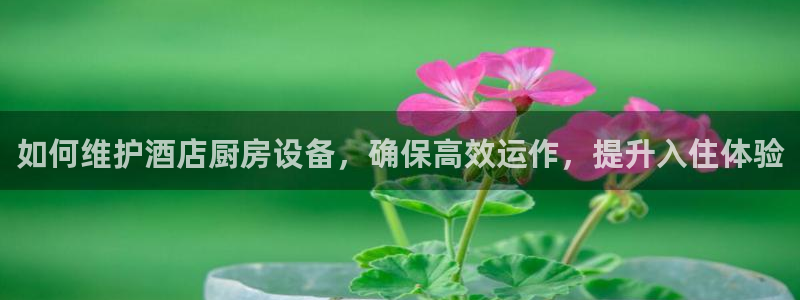 尊龙一人生就是博尊：如何维护酒店厨房设备，确保高效运作，提升