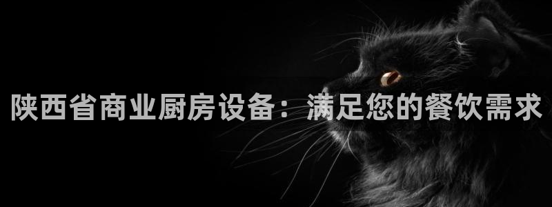 尊龙人生就是博用现金玩一下：陕西省商业厨房设备：满足您的餐饮
