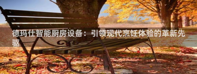 尊龙凯时有限公司：德玛仕智能厨房设备：引领现代烹饪体验的革新