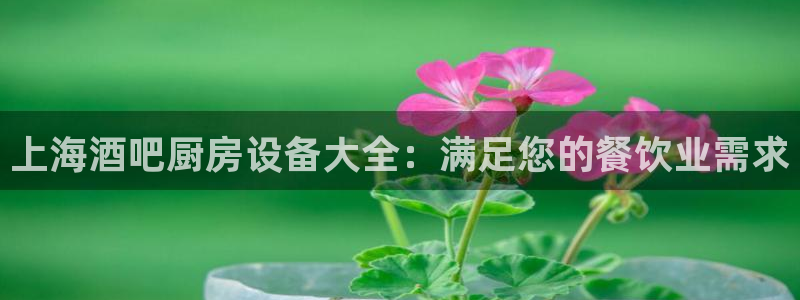 尊龙凯时下载人生就是博：上海酒吧厨房设备大全：满足您的餐饮业