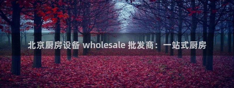 尊龙凯时 人生就是搏首页：北京厨房设备 wholesale 