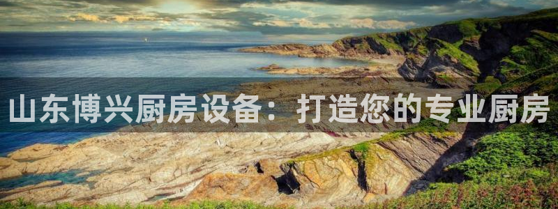 尊龙官网首页：山东博兴厨房设备：打造您的专业厨房