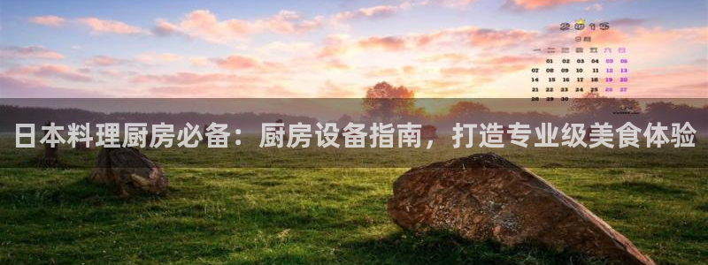 尊龙凯时有假么：日本料理厨房必备：厨房设备指南，打造专业级美