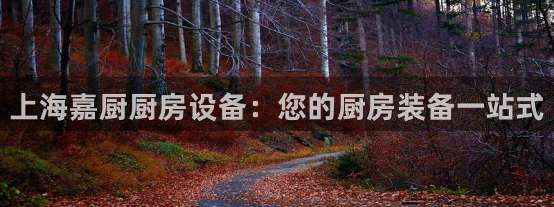 尊龙人生就是博官方官网：上海嘉厨厨房设备：您的厨房装备一站式