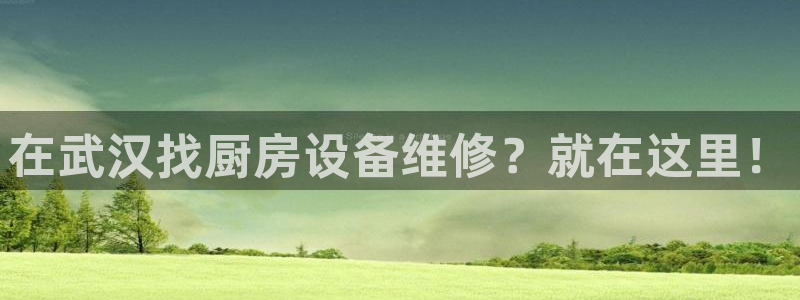 尊龙网页：在武汉找厨房设备维修？就在这里！