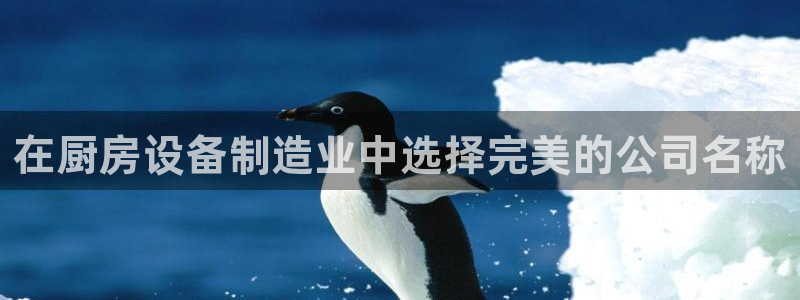 ag尊龙凯时集团：在厨房设备制造业中选择完美的公司名称