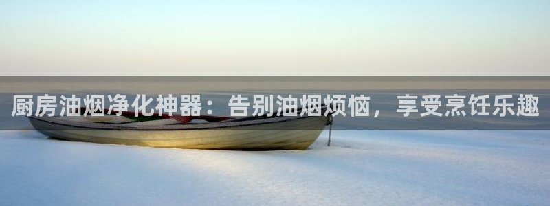 尊龙凯时网娱乐最新版：厨房油烟净化神器：告别油烟烦恼，享受烹