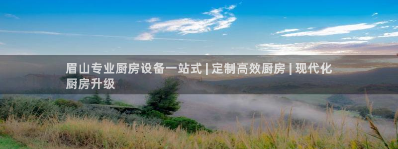 凯时ag旗舰厅网址是什么：眉山专业厨房设备一站式 | 定制高