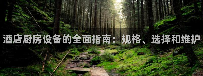 凯时国际app首页登录：酒店厨房设备的全面指南：规格、选择和