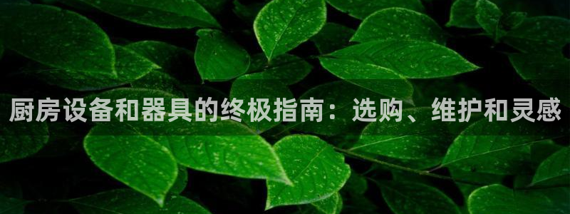 尊龙凯时这个平台怎么样：厨房设备和器具的终极指南：选购、维护