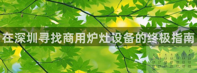 尊龙d88手机app免费下载：在深圳寻找商用炉灶设备的终极指