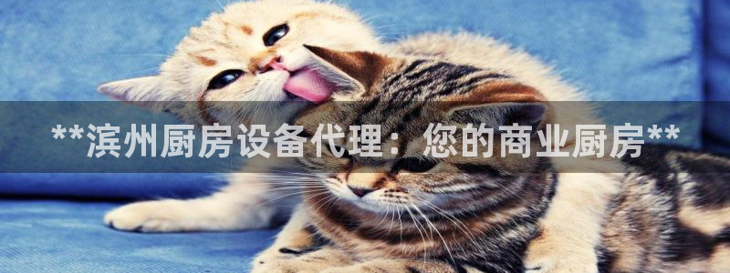 尊龙凯时请求参数不符合：**滨州厨房设备代理：您的商业厨房*