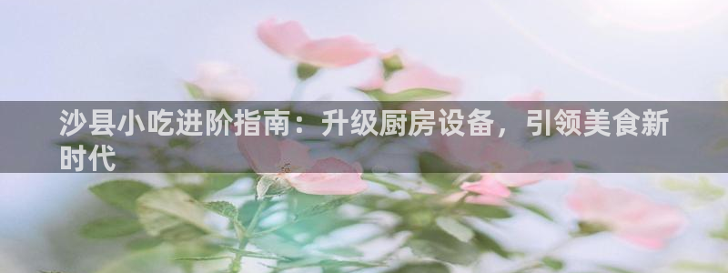 凯时网址多少：沙县小吃进阶指南：升级厨房设备，引领美食新
时