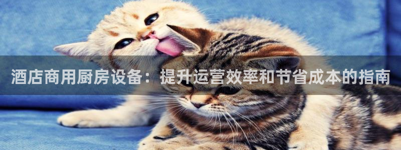 尊龙凯时导航菜单首页：酒店商用厨房设备：提升运营效率和节省成