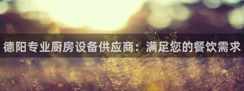 尊龙2020：德阳专业厨房设备供应商：满足您的餐饮需求