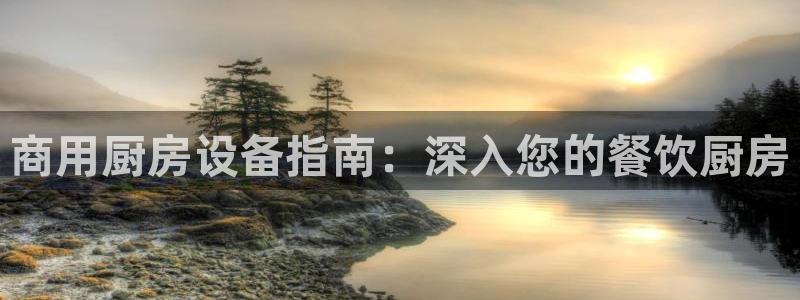 尊龙app官网登录：商用厨房设备指南：深入您的餐饮厨房