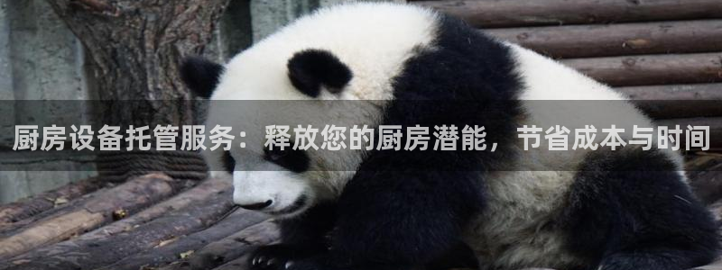 尊龙凯时电竞注册：厨房设备托管服务：释放您的厨房潜能，节省成