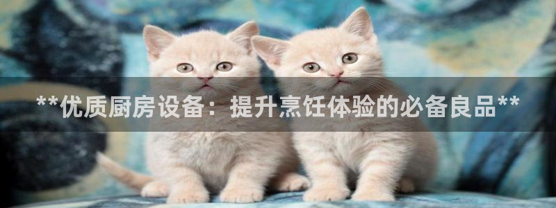 尊龙凯时有假么：**优质厨房设备：提升烹饪体验的必备良品**