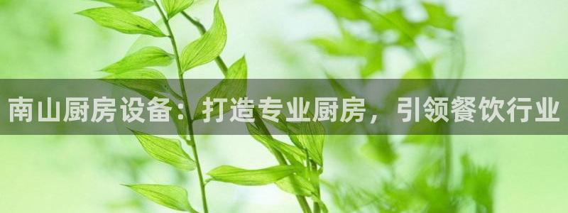 尊龙凯时和九游会哪个平台好一点：南山厨房设备：打造专业厨房，