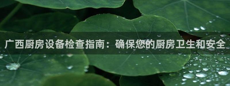 尊龙物流怎么样：广西厨房设备检查指南：确保您的厨房卫生和安全
