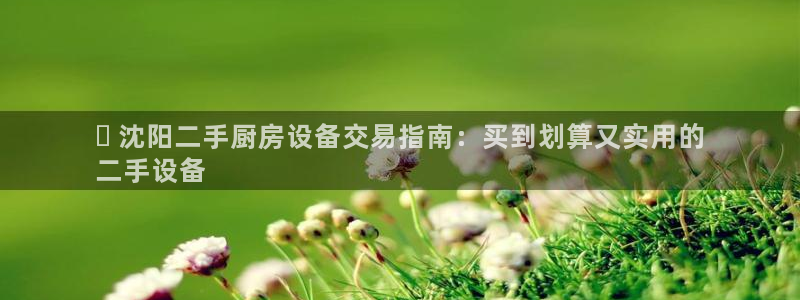 尊龙凯时官方下载：✅ 沈阳二手厨房设备交易指南：买到划算又实