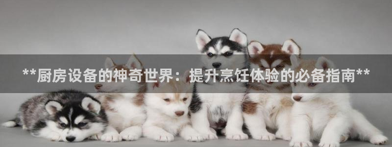 尊龙凯时能不能提现?：**厨房设备的神奇世界：提升烹饪体验的