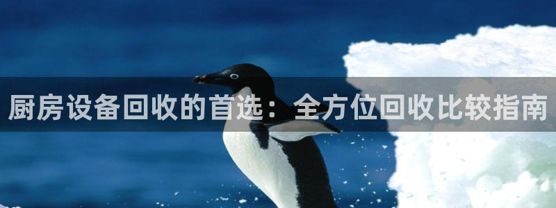 AG尊龙登陆网址：厨房设备回收的首选：全方位回收比较指南