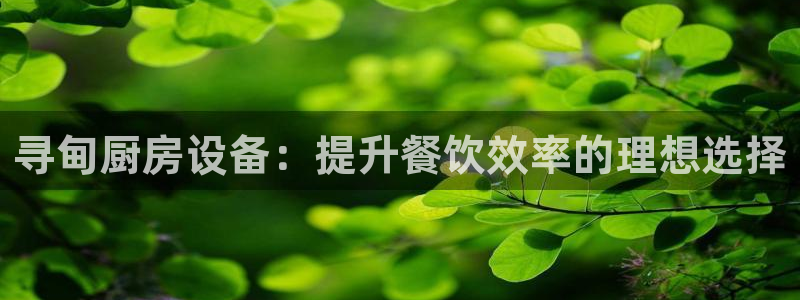 尊龙凯时输钱的原因：寻甸厨房设备：提升餐饮效率的理想选择