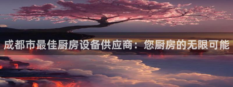 尊龙会：成都市最佳厨房设备供应商：您厨房的无限可能