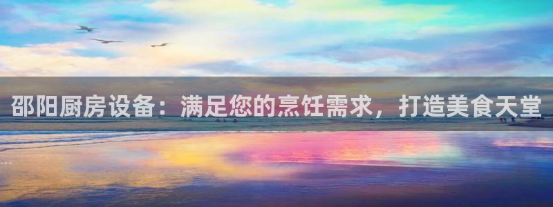 尊龙凯时app官网：邵阳厨房设备：满足您的烹饪需求，打造美食