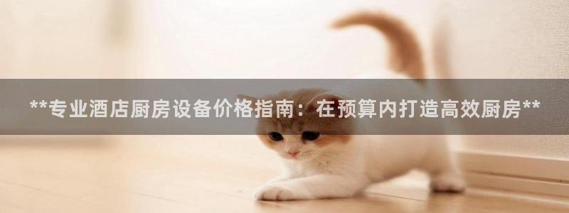 尊龙AG旗舰厅官网：**专业酒店厨房设备价格指南：在预算内打