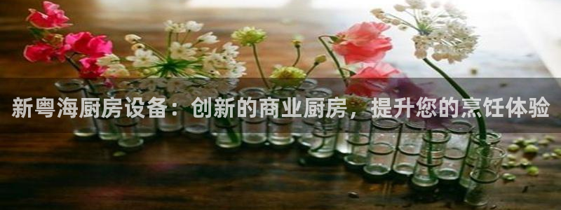 尊龙游戏app官方网站：新粤海厨房设备：创新的商业厨房，提升
