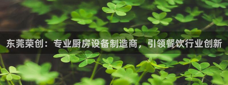 尊龙app注册官网：东莞荣创：专业厨房设备制造商，引领餐饮行