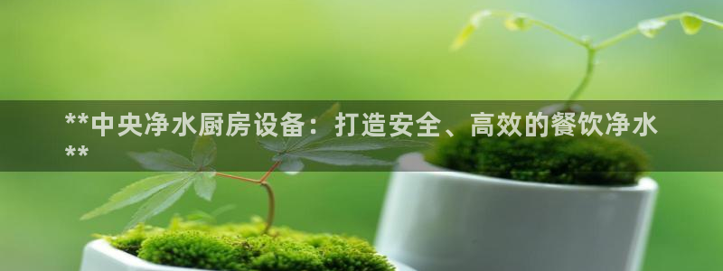 尊龙官方网站：**中央净水厨房设备：打造安全、高效的餐饮净水
